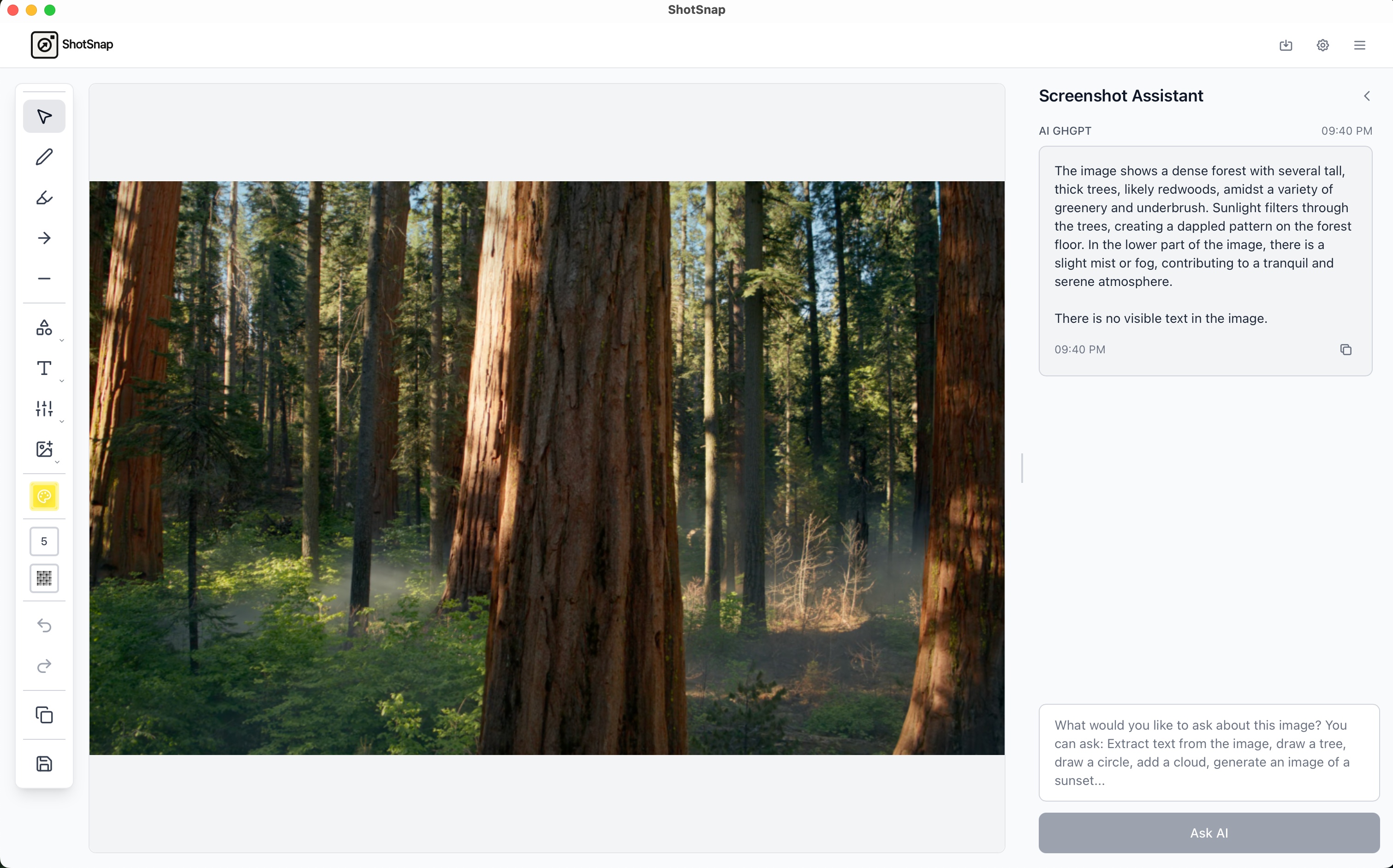 ShotSnap App Interface - AI analyzing a forest image